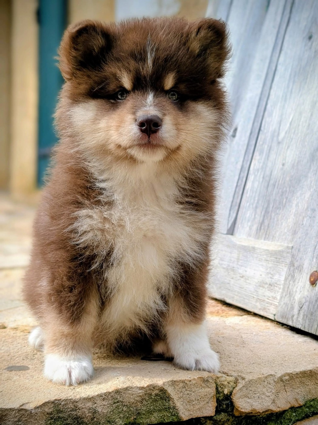 Ancrage d'une Lignée Du Temple Namasté De Benthéa
