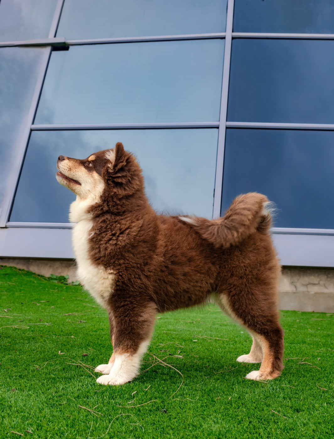 Ancrage d'une Lignée Du Temple Namasté De Benthéa