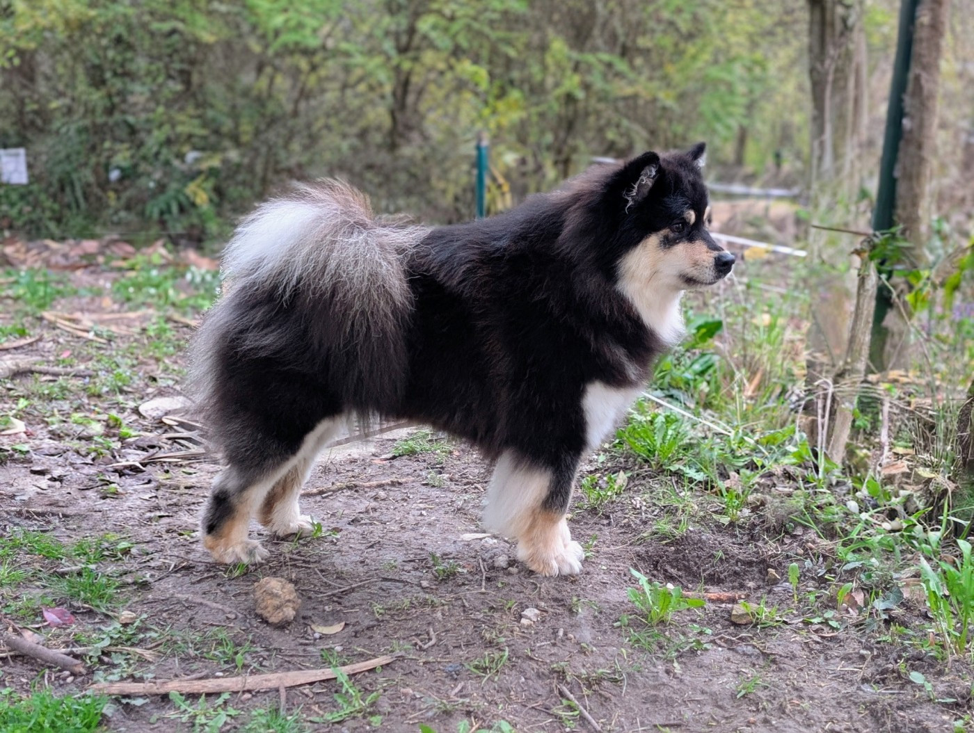 The unicorn sisters red Du Temple Namasté De Benthéa
