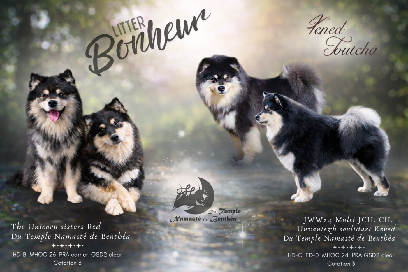 Deuxième mariage 2026